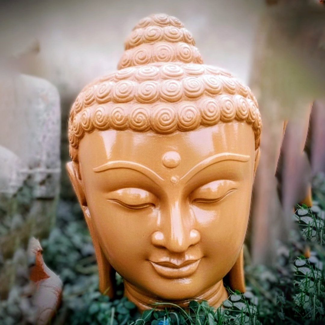 Buddha head